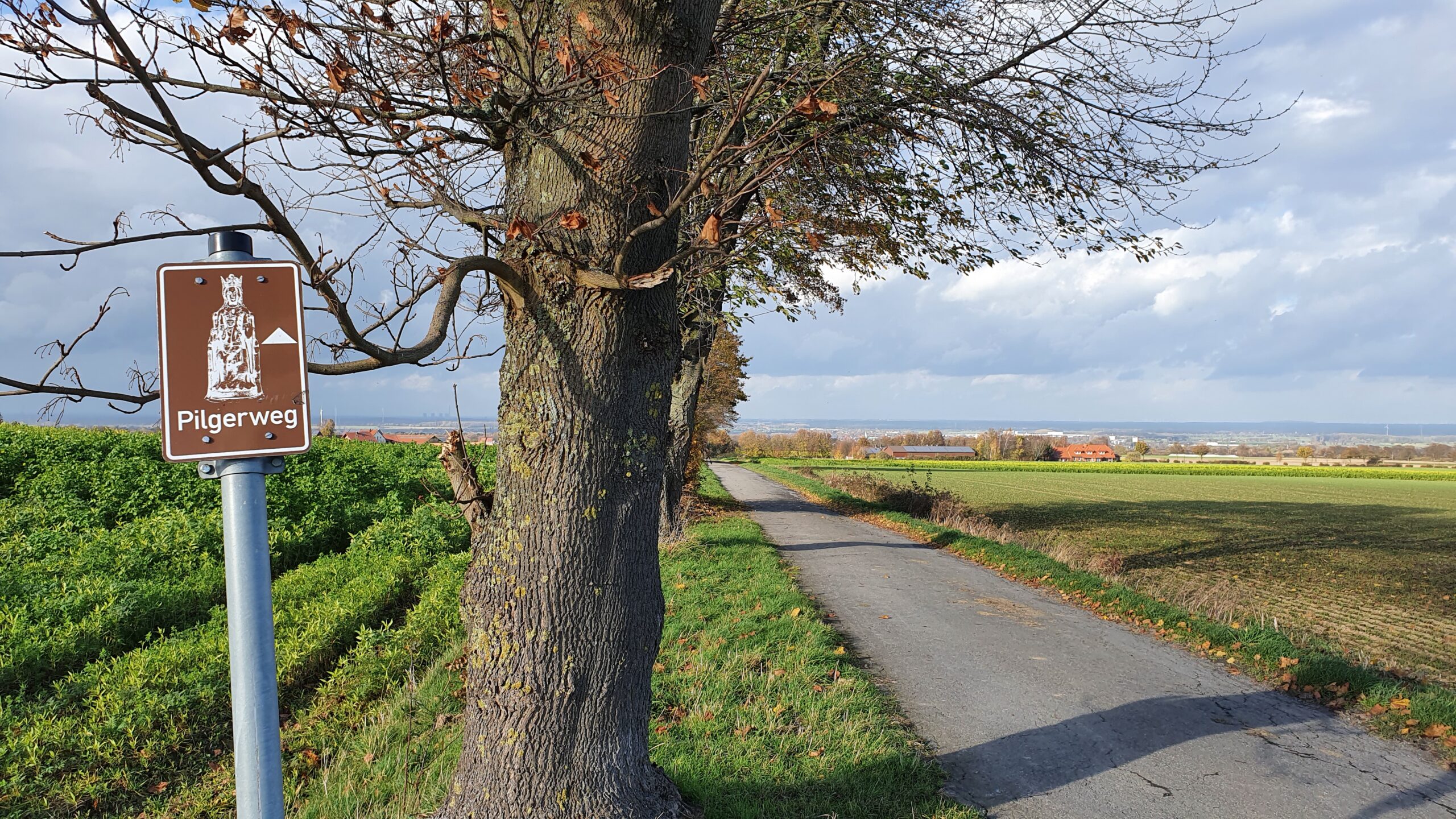 Wanderweg nach Werl mit Hinweisschild